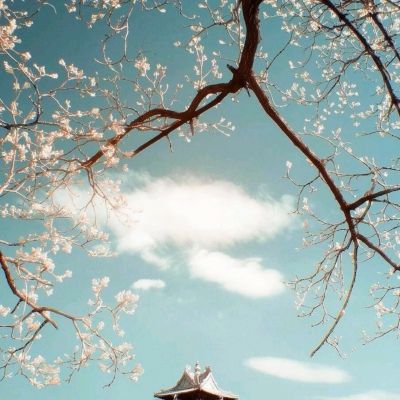 玛法霸业传奇龙城游戏